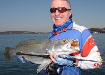 Samaki Boom Bait Bomb Shad review